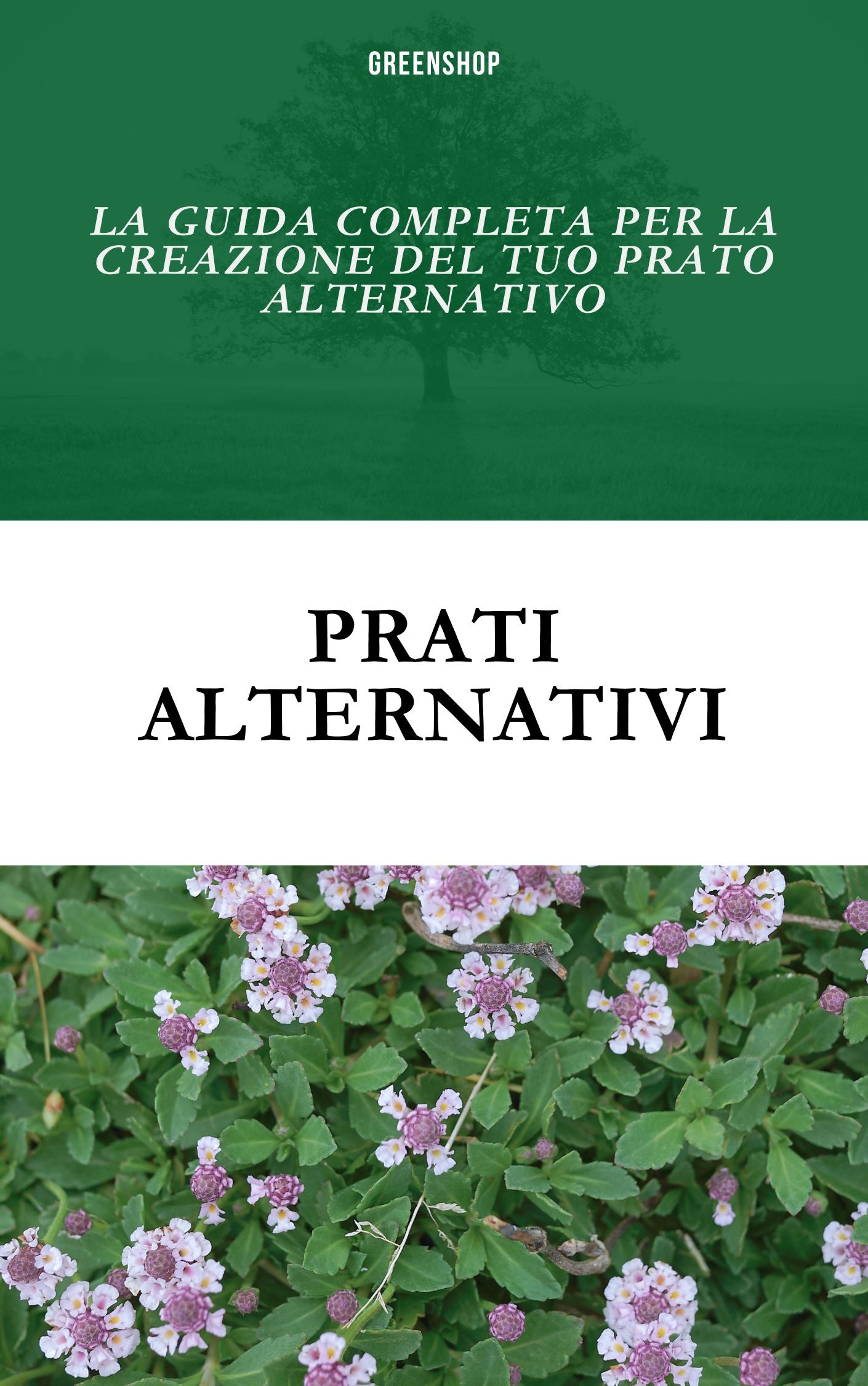 La guida completa per la creazione del tuo prato alternativo; Lippia e Verbena - Greenshop